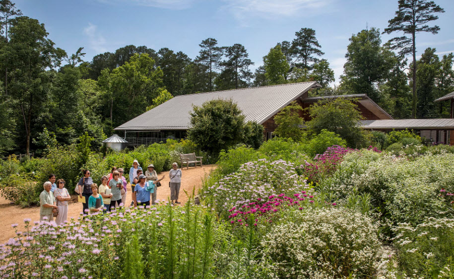 Coker Arboretum, United States
